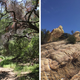 The BBT’s terrain is incredibly varied as it travels through several microclimates